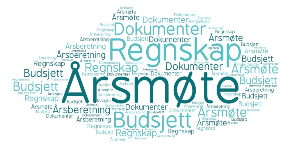 Image for Dokumenter til årsmøtet 2025